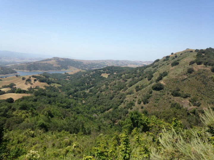 Herp Habitat